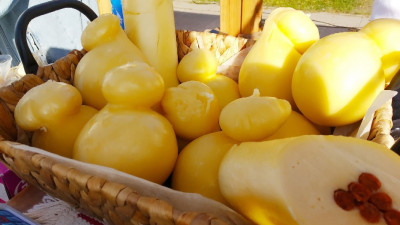 На фестиваль «Сырная деревня» привезут тонны сыра со всей России