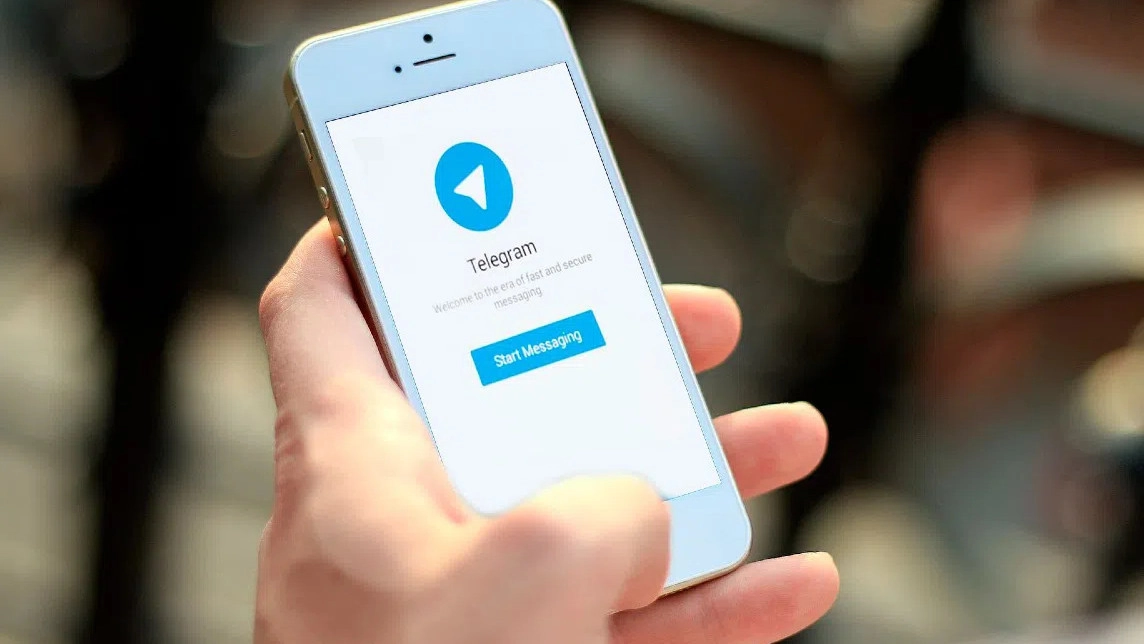 В Петербурге запустили Telegram-канал для молодого бизнеса - tvspb.ru