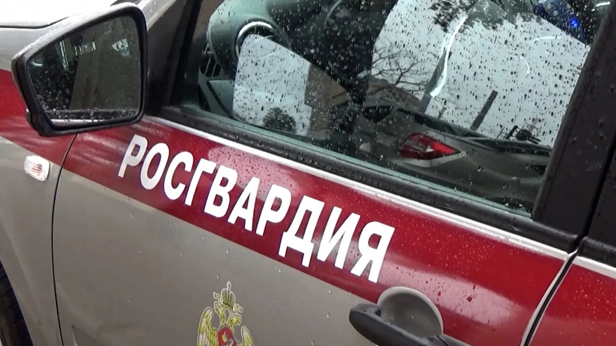На Демьяна Бедного задержали пьяного петербуржца, пытавшегося проникнуть в школу - tvspb.ru