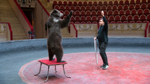 Вместе целая страна: цирк Чинизелли начинает юбилейный сезон познавательным шоу о многонациональной культуре России