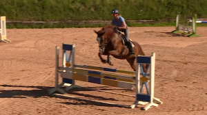 Кубок Телеканала «Санкт-Петербург» разыграют на соревнованиях по конкуру