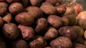 Как правильно выбирать и хранить картофель