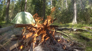 Сезон походов: как пережить ночь в палатке, встречу с медведем и не стать обедом для комаров