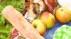 Эко-пикник: как сделать выезд на природу без вреда для окружающей среды