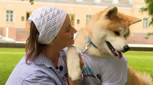 Собака-помогака: как акита-ину Изюм волонтёром стал
