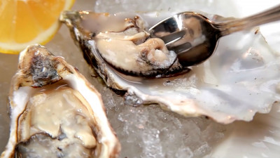 Рыбный союз: какие морепродукты полезны для мужского здоровья больше всего