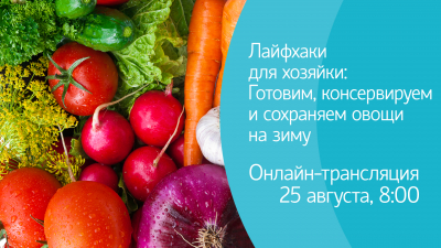 Лайфхаки для хозяйки: Готовим и сохраняем на зиму. Онлайн-трансляция