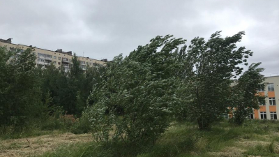 Петербуржцев предупредили о сильном ветре 23 сентября