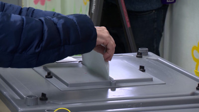 В Петербурге подвели предварительные итоги дополнительных выборов