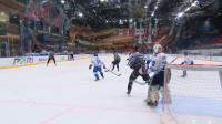В Петербурге состоится финал Кубка открытия Студенческой Хоккейной Лиги