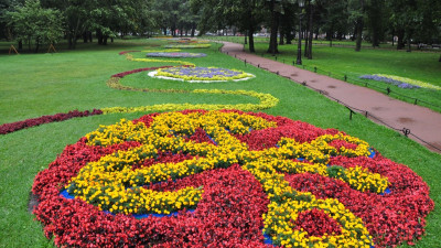 Цветник, посвящённый Петербургу, стал победителем Фестиваля цветов