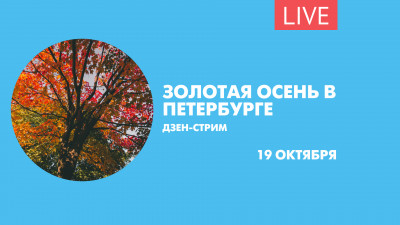 Золотая осень в Петербурге. Дзен-стрим