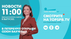 Новости. 11:00