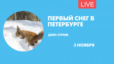 Первый снег в Петербурге. Дзен-стрим