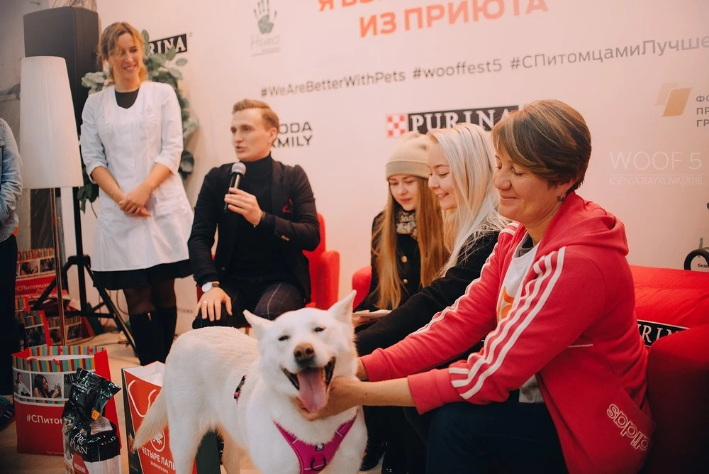 Петербуржцы могут найти новых питомцев на фестивале «WOOF» - tvspb.ru