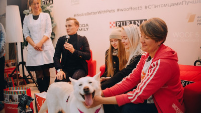 Петербуржцы могут найти новых питомцев на фестивале «WOOF»