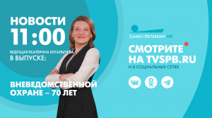 Новости Петербурга к 11:00
