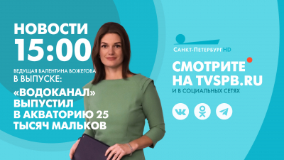 Новости Петербурга к 15:00