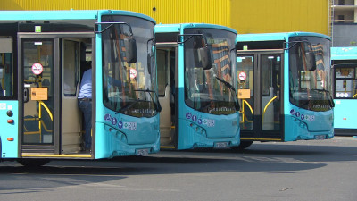 В промзоне «Ржевка» появится автобусный парк