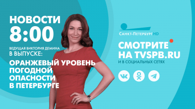 Новости Петербурга к 8:00