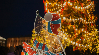 Петербург не откажется от новогодней елки на Дворцовой и гирлянд 