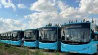20 новых низкопольных автобусов вышли на маршрут №254 в Петербурге