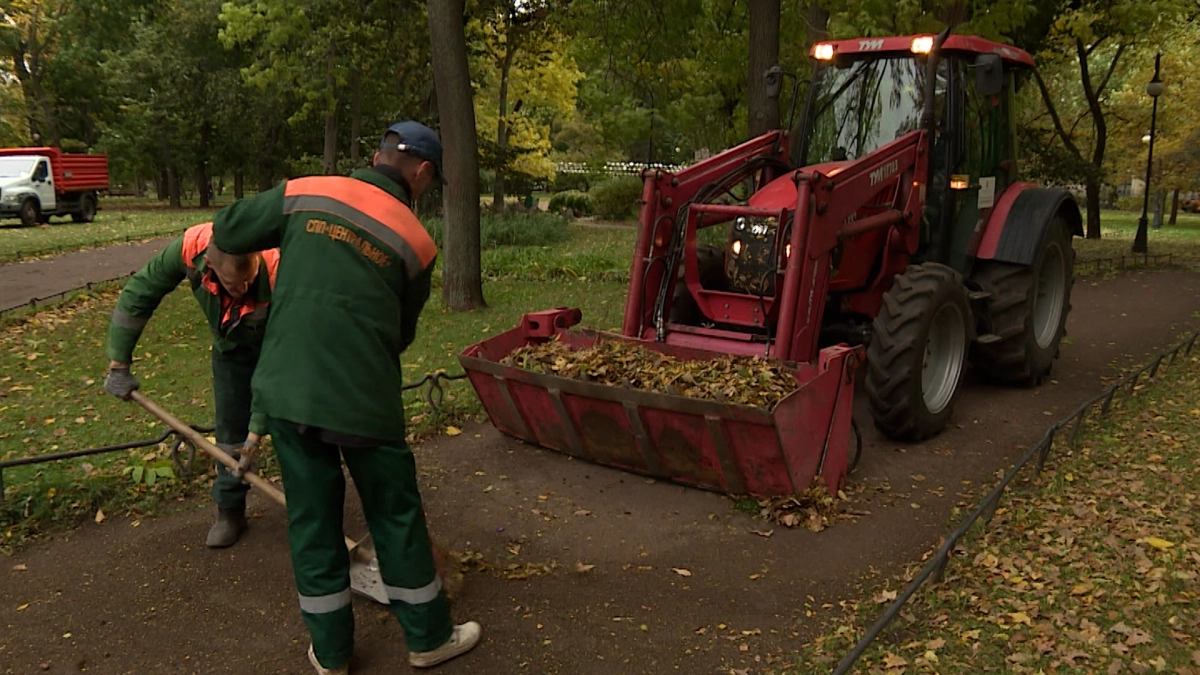 В Петербурге состоится общегородской День благоустройства - tvspb.ru