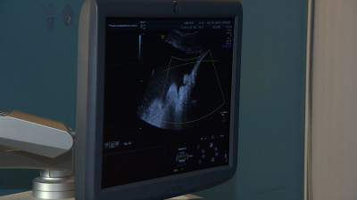 В новом году Петербург присоединится к проекту расширенного неонатального скрининга