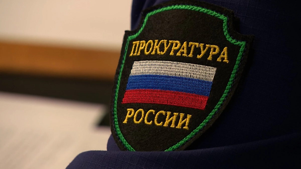 Прокуратура организовала проверку после обрушения трибуны в цирке в Лесколово - tvspb.ru