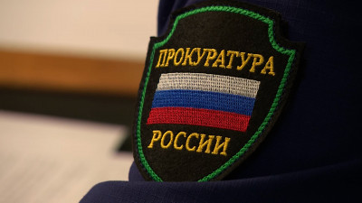 Веронику Белоцерковскую объявили в розыск по делу о распространении фейков о ВС России