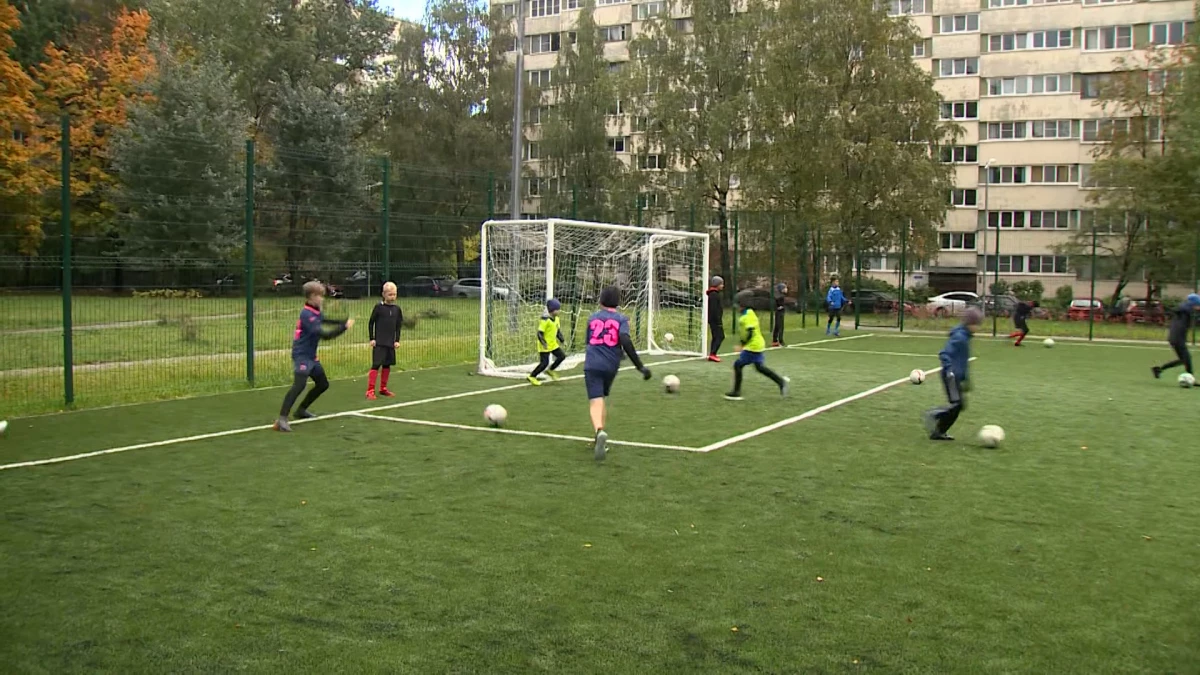 В Пушкинском районе построят футбольный комплекс - tvspb.ru