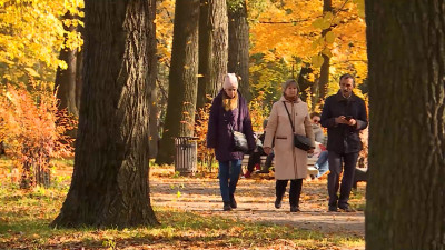 Как изменится жизнь петербуржцев при базовом уровне готовности 