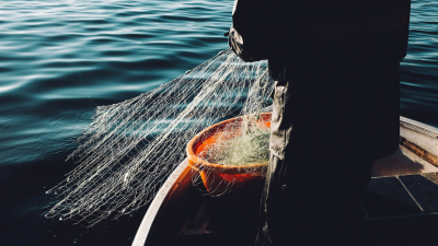 Рыбалка в Неве обернулась для двух петербуржцев «условным сроком» и штрафами