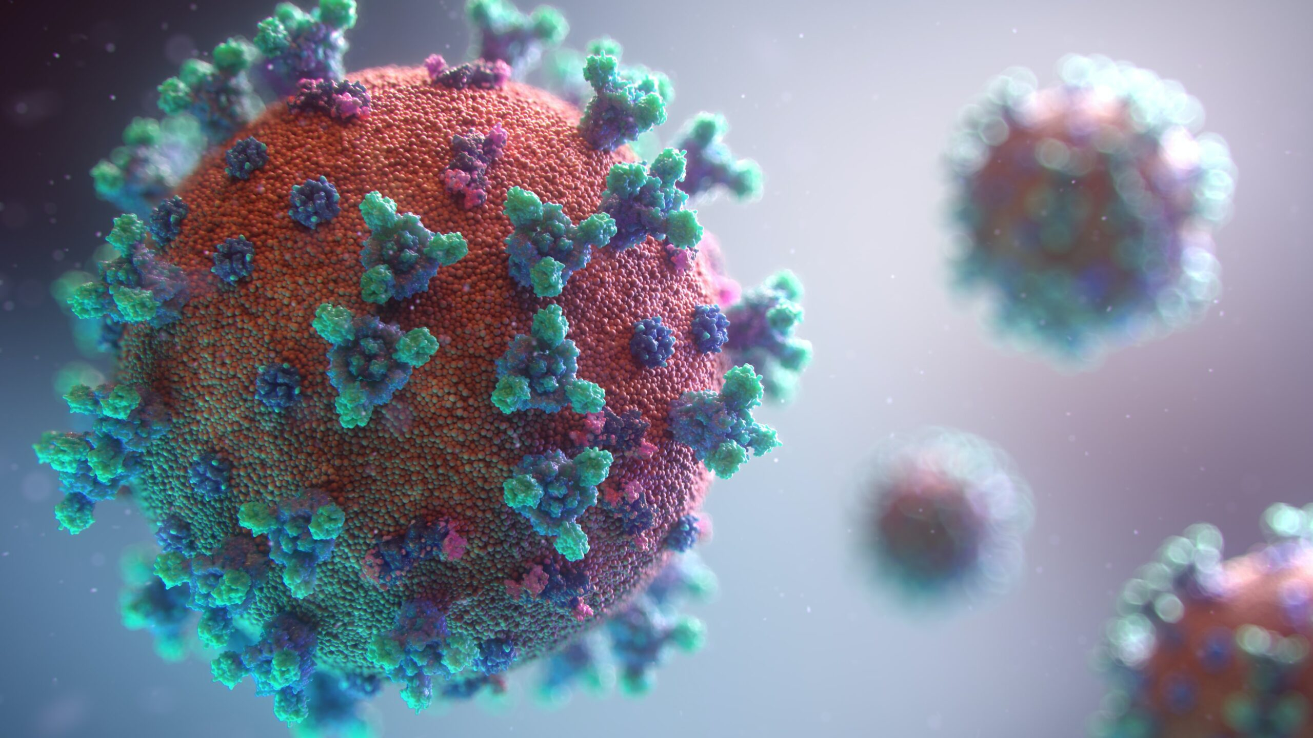 Вирусолог предупредил о риске новой волны коронавируса в ноябре