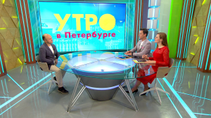 Лисы в городской черте. Правила поведения при встрече