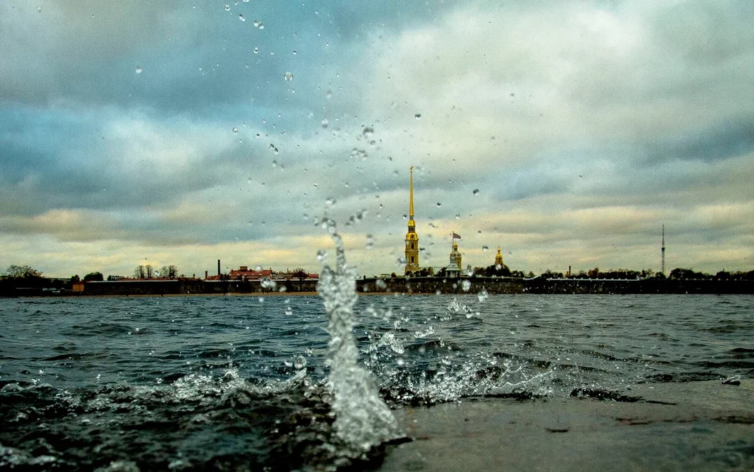 Эксперты назвали причины, из-за которых нельзя купаться в Неве - tvspb.ru