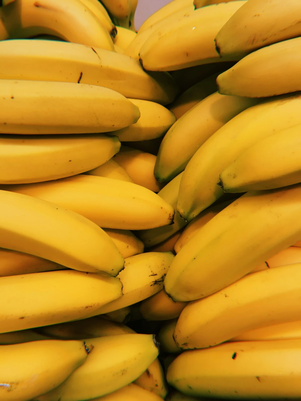 С начала года в Петербург поступило более 970 тысяч тонн бананов  - tvspb.ru