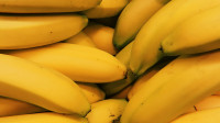 С начала года в Петербург поступило более 970 тысяч тонн бананов 