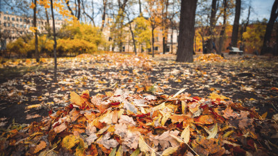Новый арт-объект и разговоры о моде: Как завершится фестиваль «Петербург. Пространство Мольера»