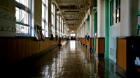 Петербургские депутаты предложили Мишустину ужесточить требования к школьной охране