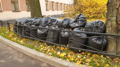 Петербуржцы смогут оценить осеннюю уборку в своем районе