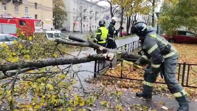 Спасатели 26 раз выезжали на ликвидацию последствий урагана в Петербурге