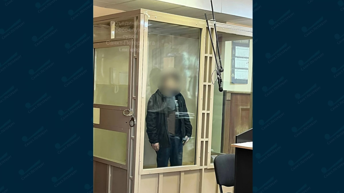 Пытавшегося поджечь военный комиссариат в Петербурге арестовали на два месяца - tvspb.ru