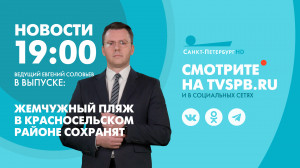 Новости Петербурга к 19:00