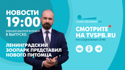 Новости Петербурга к 19:00