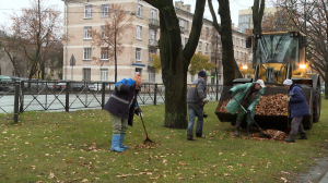 Осенняя уборка в Колпинском районе