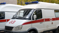 В Петербурге госпитализировали 27 строителей с кишечной инфекцией