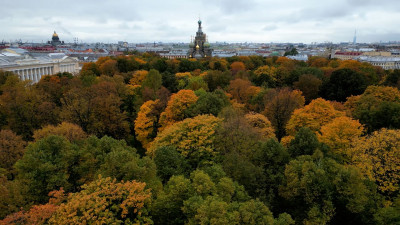 Суббота принесет петербуржцам ветер до 17 м/с