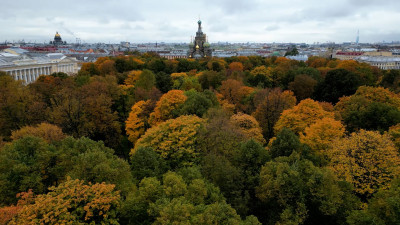 Температура в Петербурге опустится до климатической нормы