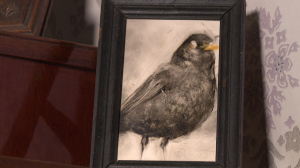 «Птичий бестиарий» в литературно-мемориальном музее Ф.М. Достоевского